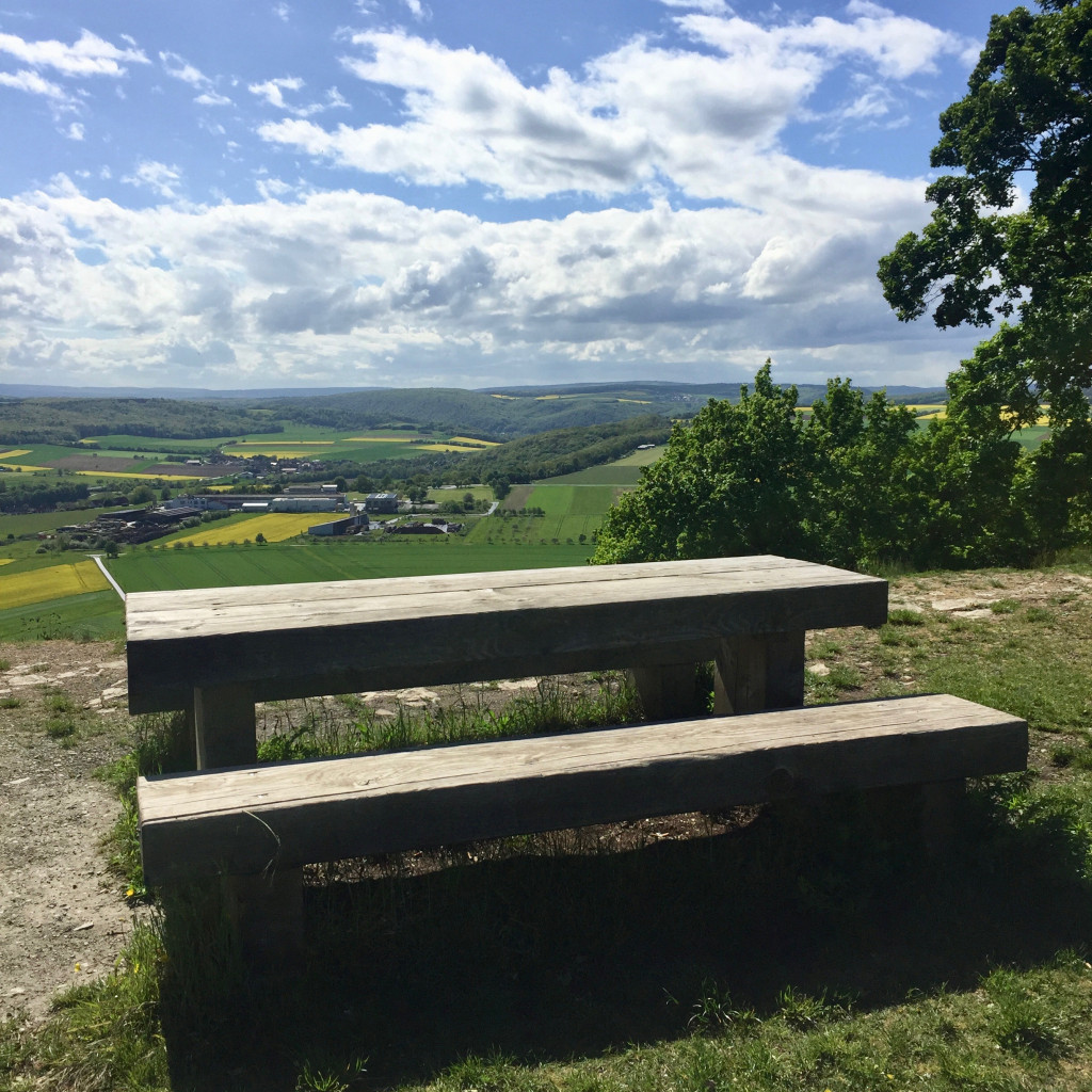 fernsicht_ruine_homburg