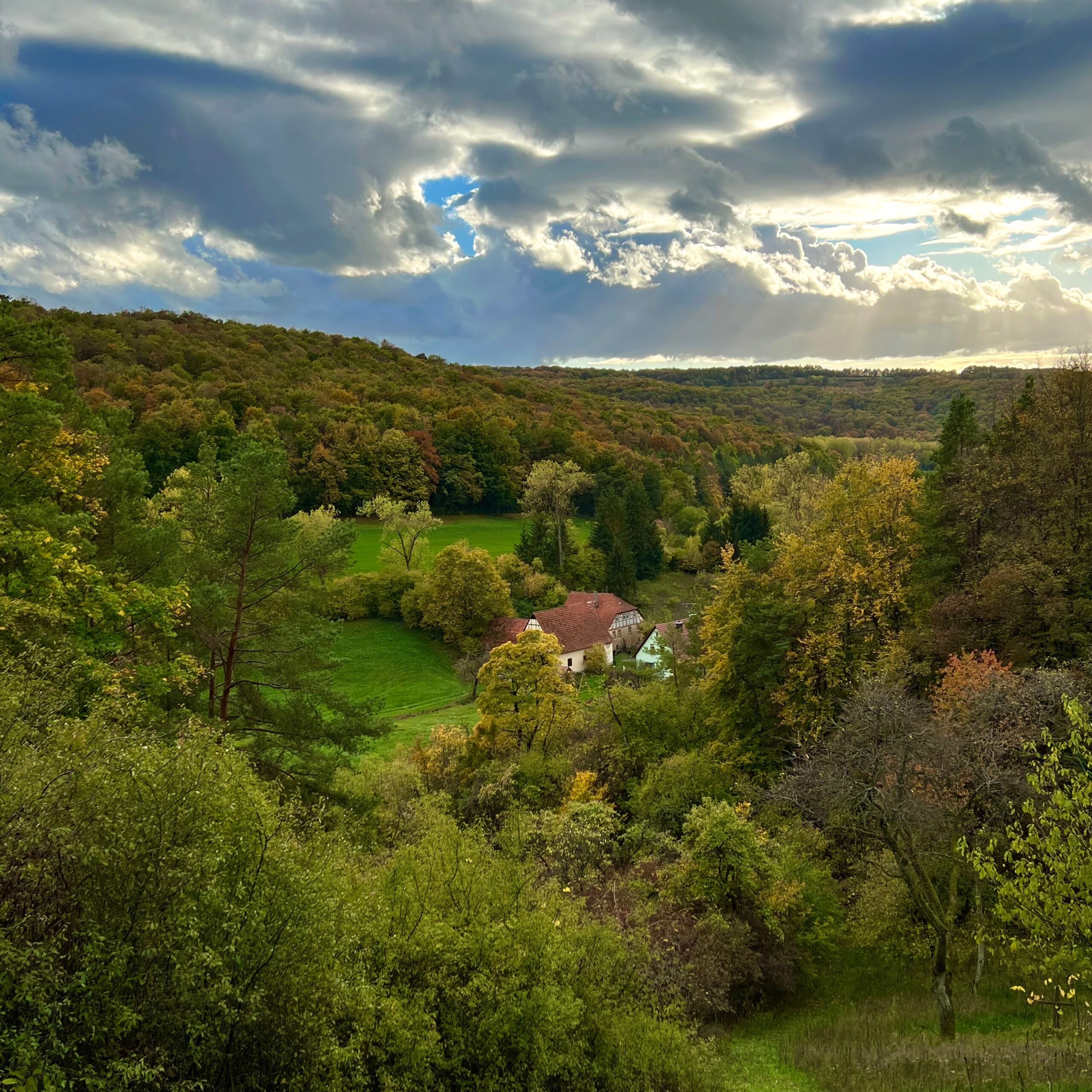 herbst_landschaft