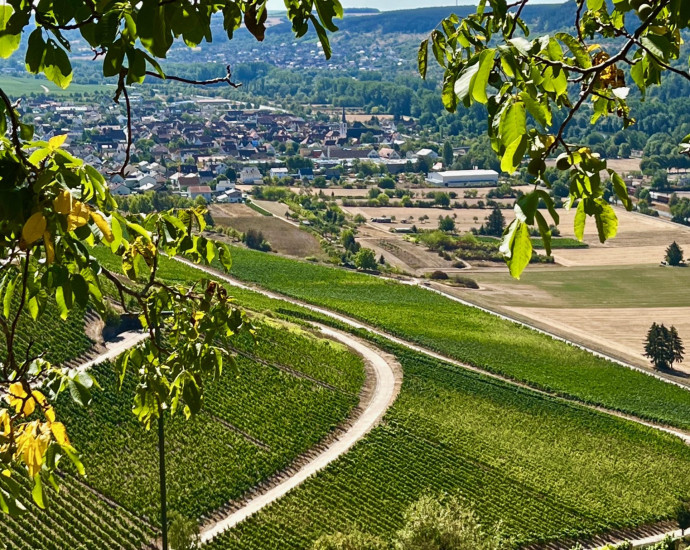 retzbacher_benediktusberg