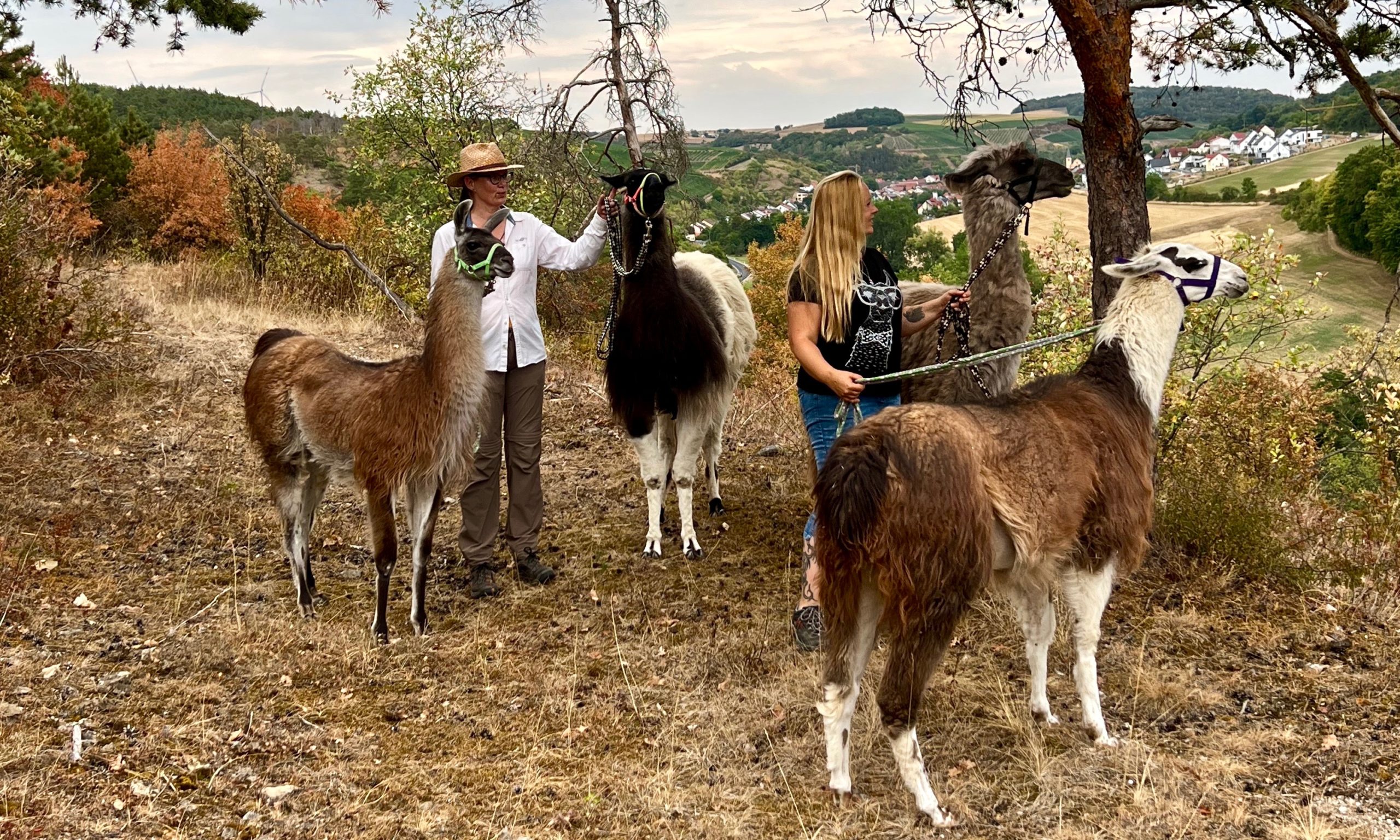 retztal_lamas