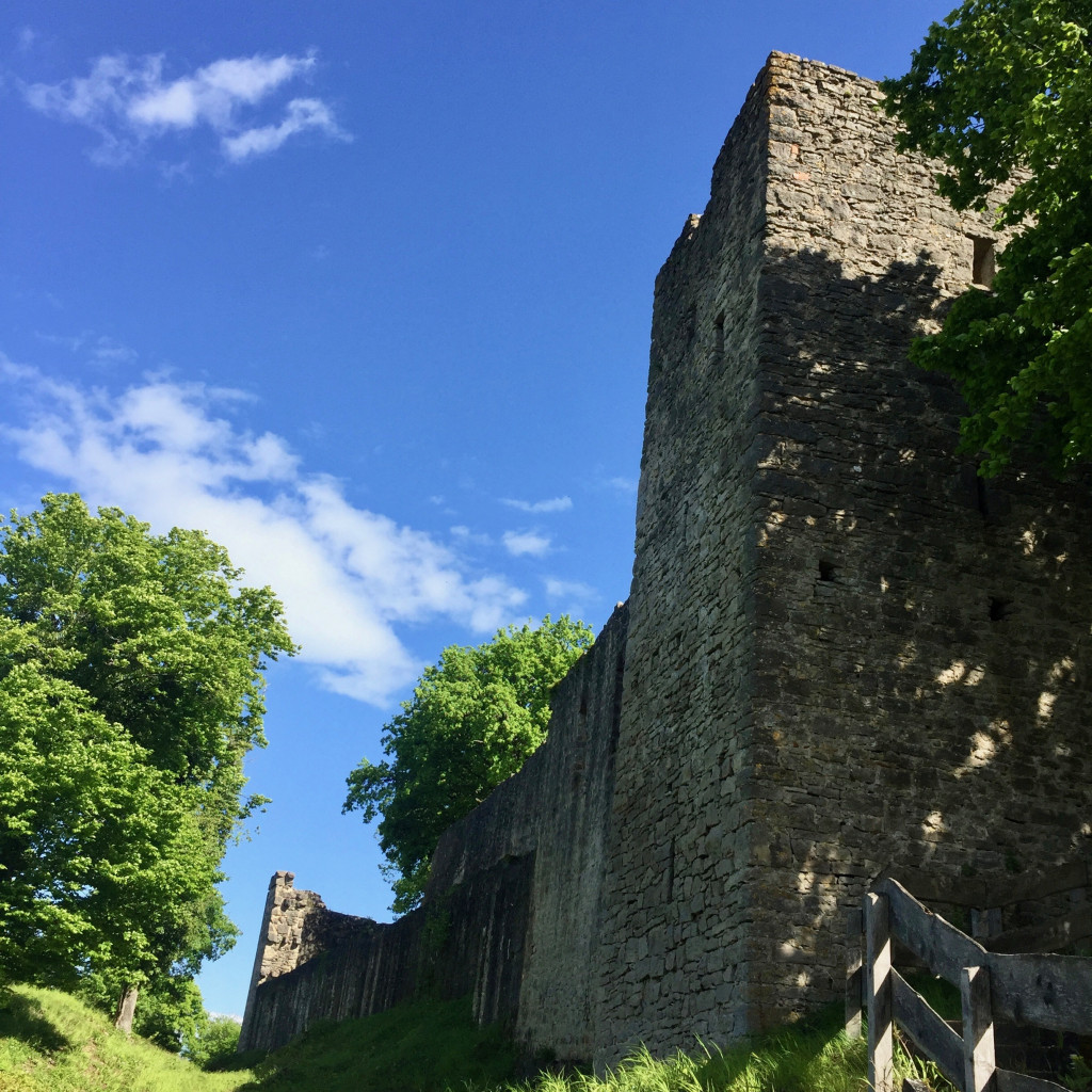 ruine_homburg