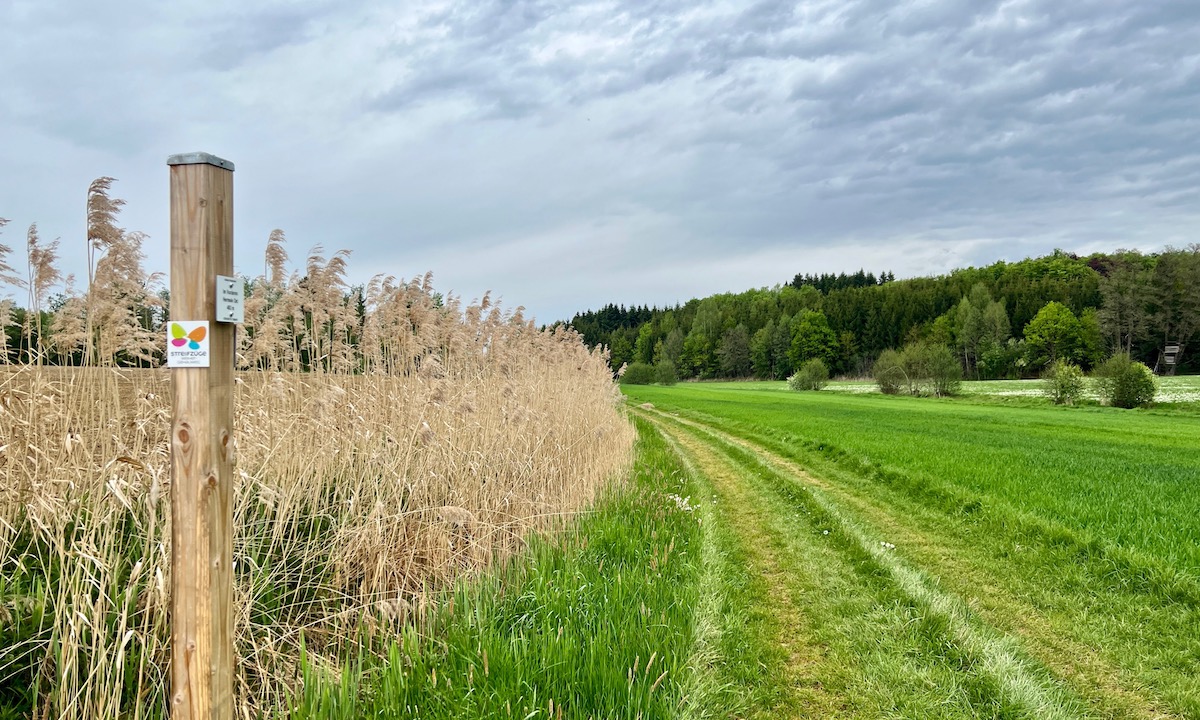 streifzüge_weihergehauweg