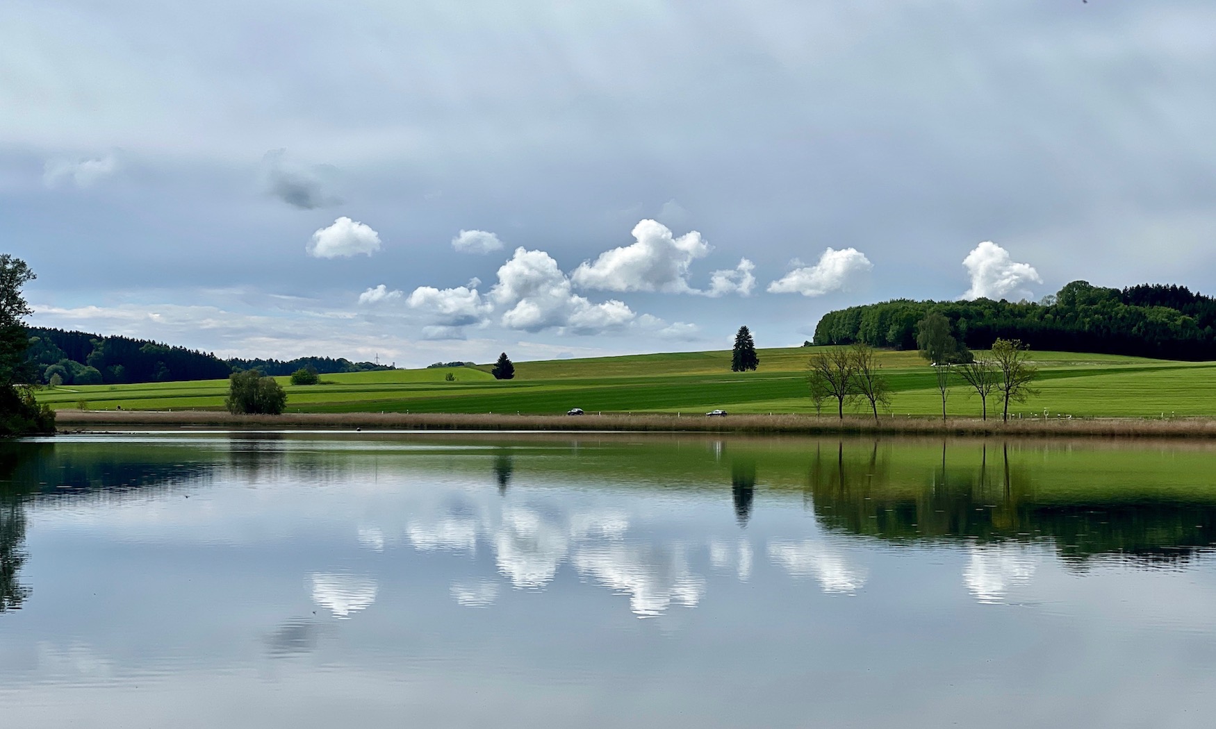 streifzüge_weiherpfade