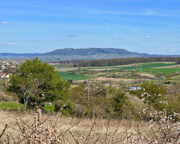 traumrunde_kitzingen_sulzfeld