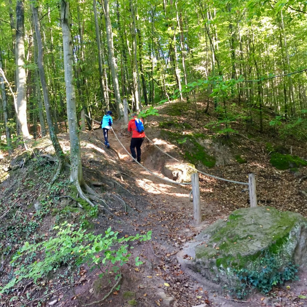 waldlehrpfad