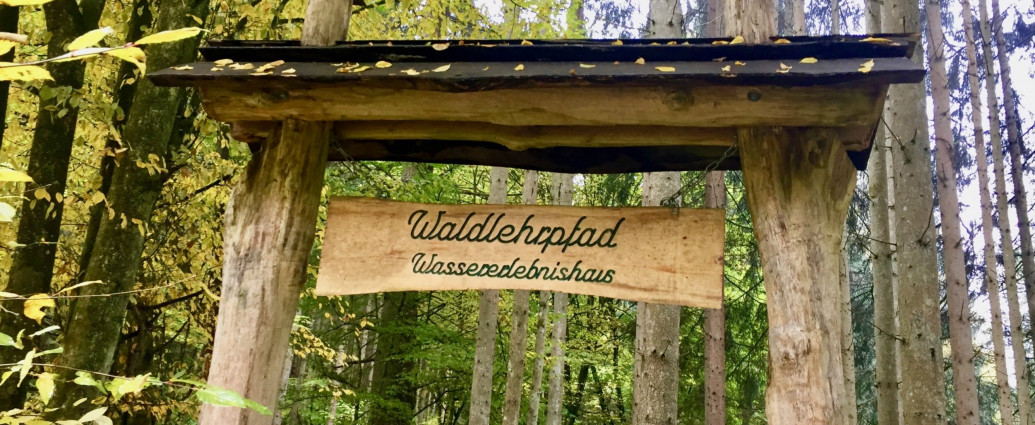 waldlehrpfad bei rieneck