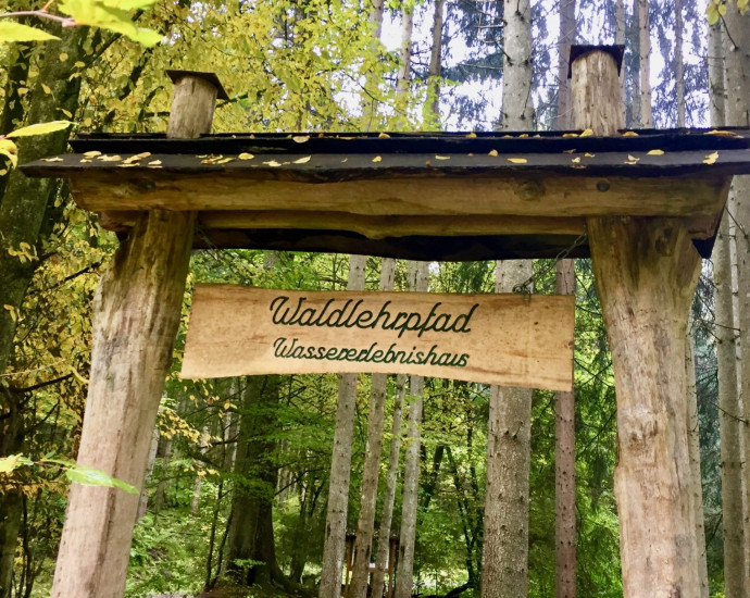 waldlehrpfad bei rieneck