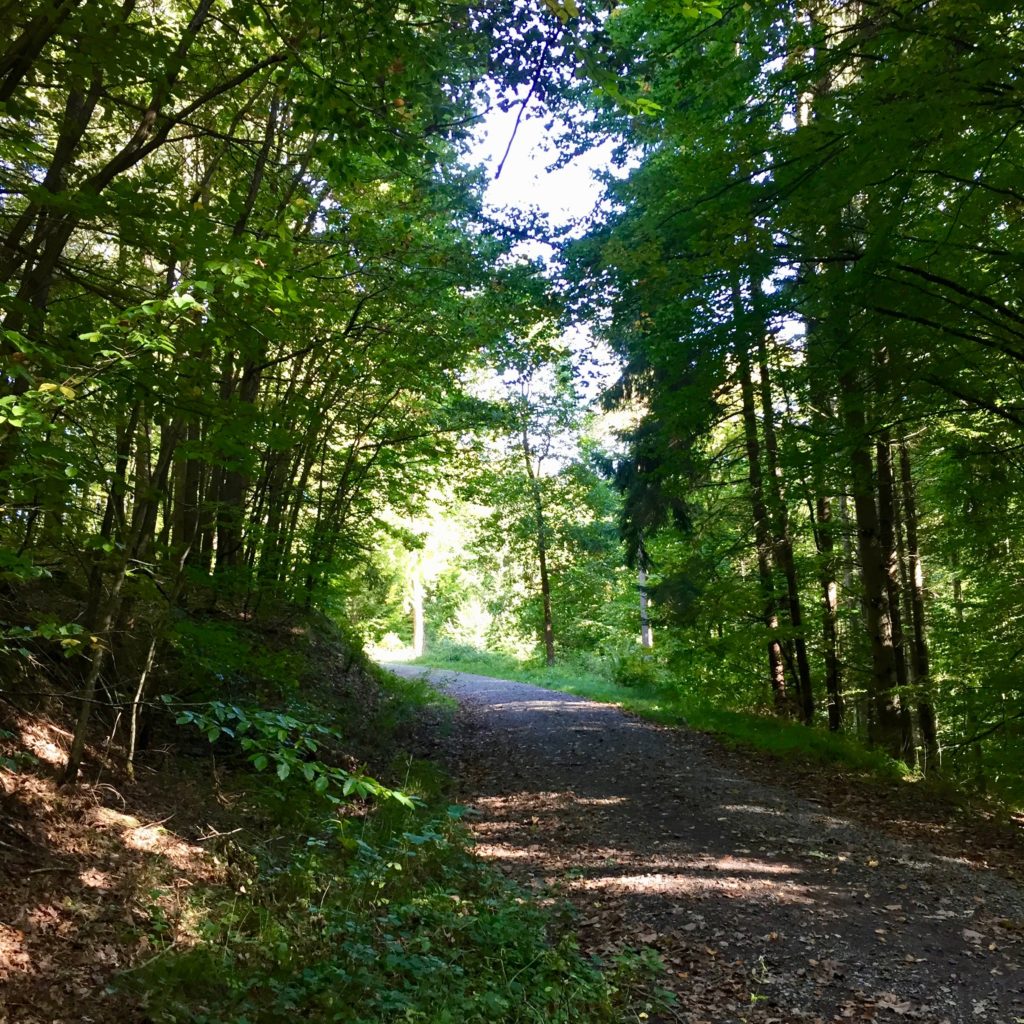 waldweg