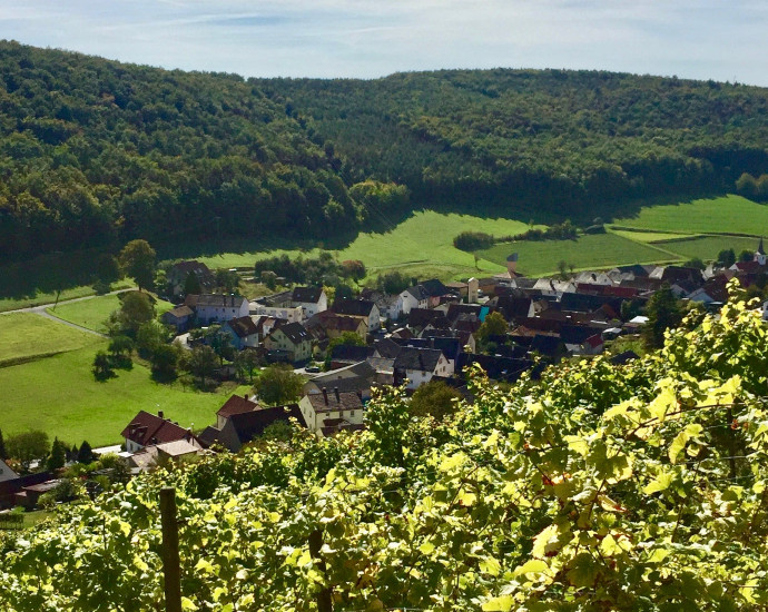 weingenussweg