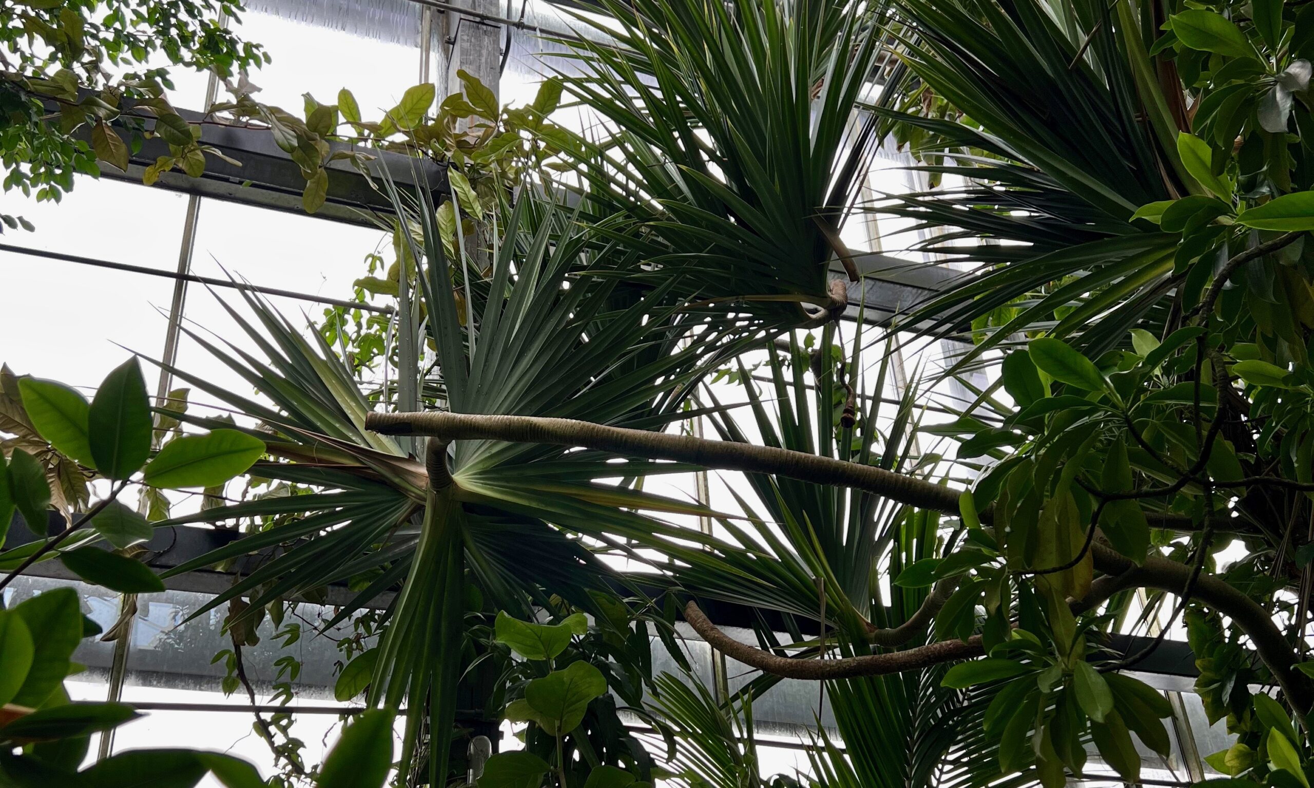 x_botanischer_garten_würzburg